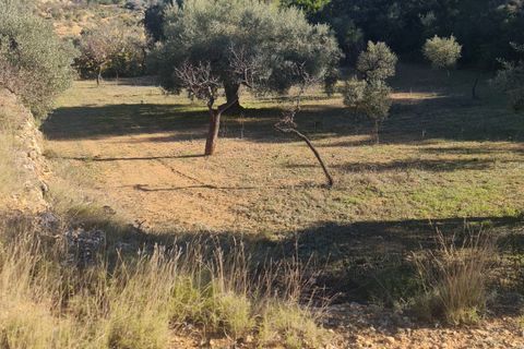 Landejendom i Asco, Tarragona, Asco - € 29.000 | Ref: 1003 Pasco - foto 10